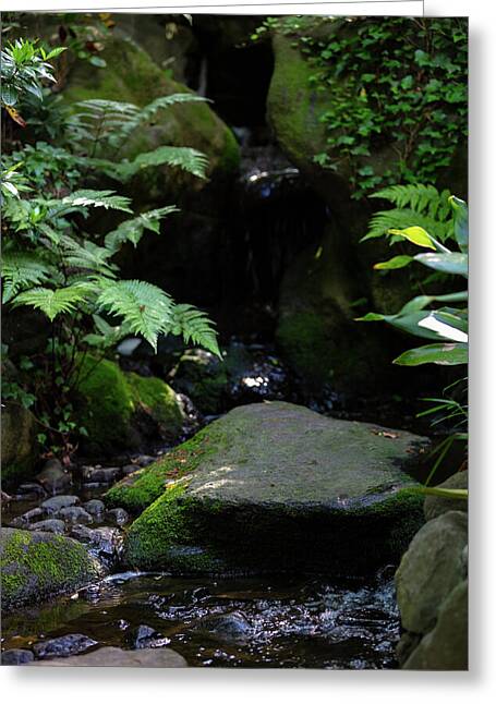 Gardens of Tokyo IV - Greeting Card