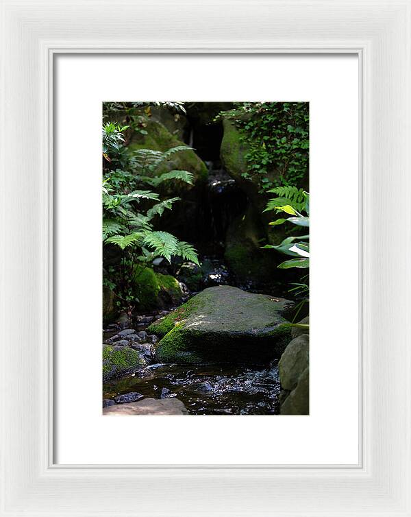 Gardens of Tokyo IV - Framed Print