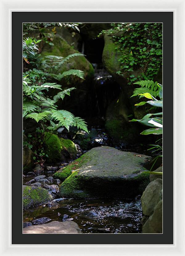Gardens of Tokyo IV - Framed Print