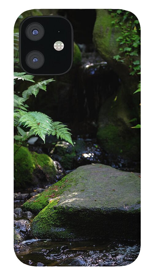 Gardens of Tokyo IV - Phone Case