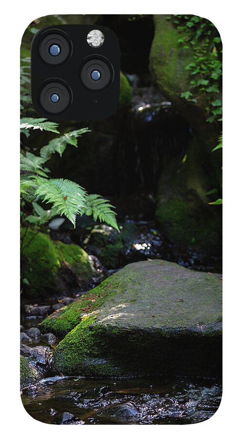 Gardens of Tokyo IV - Phone Case