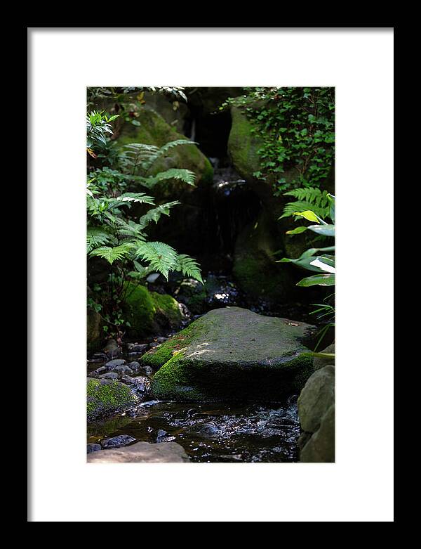 Gardens of Tokyo IV - Framed Print