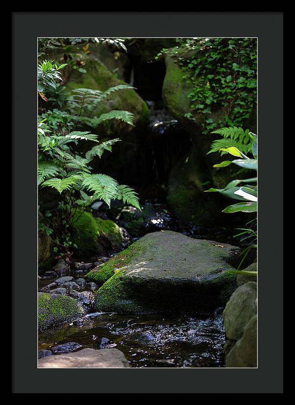 Gardens of Tokyo IV - Framed Print