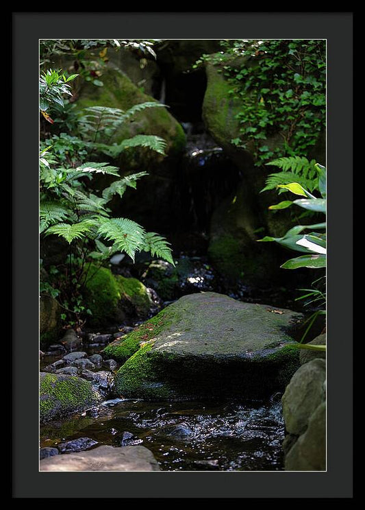 Gardens of Tokyo IV - Framed Print