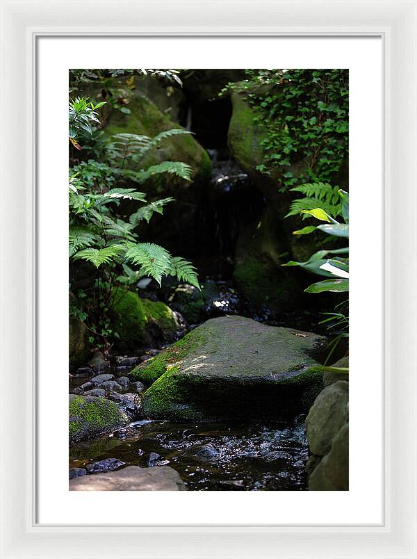 Gardens of Tokyo IV - Framed Print