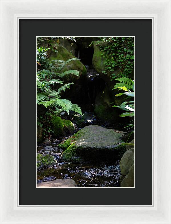 Gardens of Tokyo IV - Framed Print