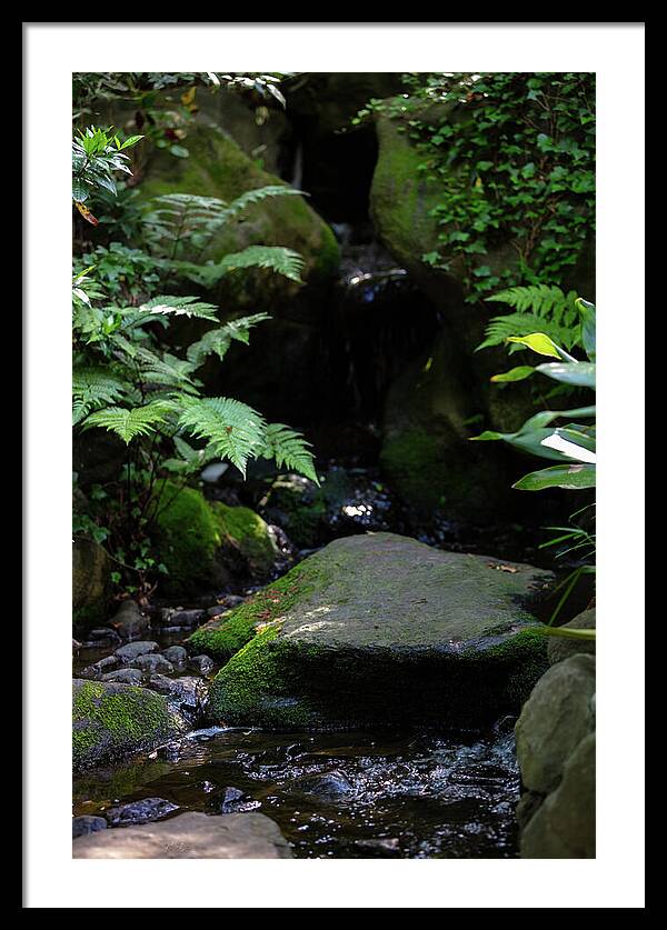 Gardens of Tokyo IV - Framed Print