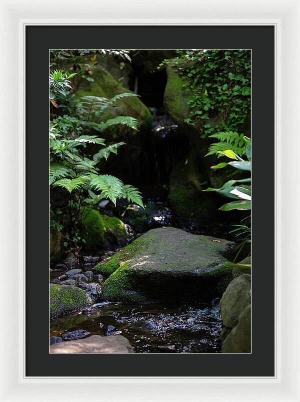 Gardens of Tokyo IV - Framed Print