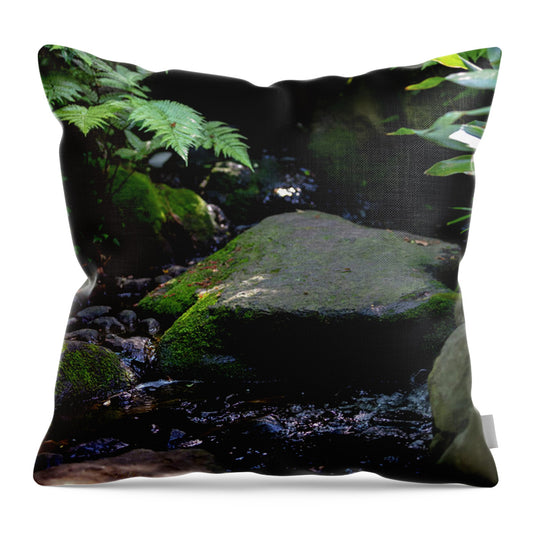 Gardens of Tokyo IV - Throw Pillow