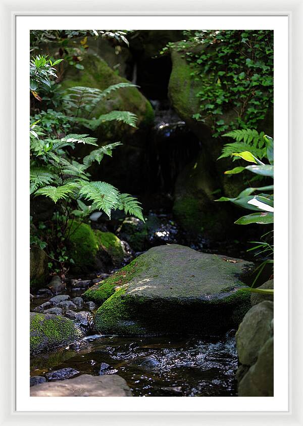 Gardens of Tokyo IV - Framed Print