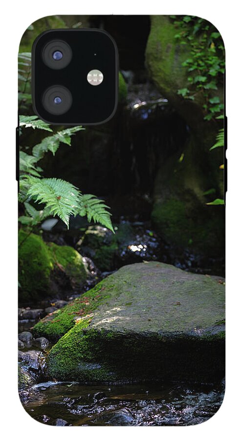 Gardens of Tokyo IV - Phone Case