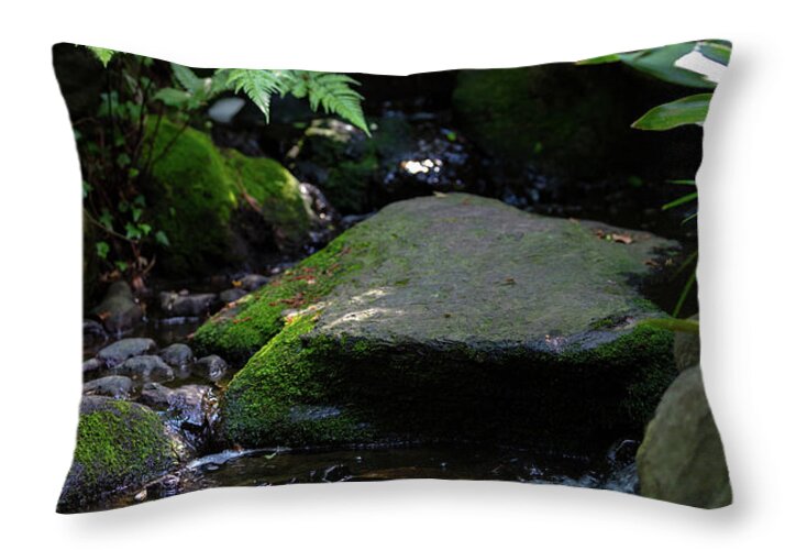 Gardens of Tokyo IV - Throw Pillow