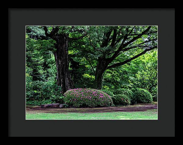 Gardens of Tokyo - Framed Print