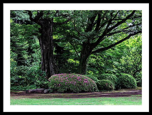 Gardens of Tokyo - Framed Print