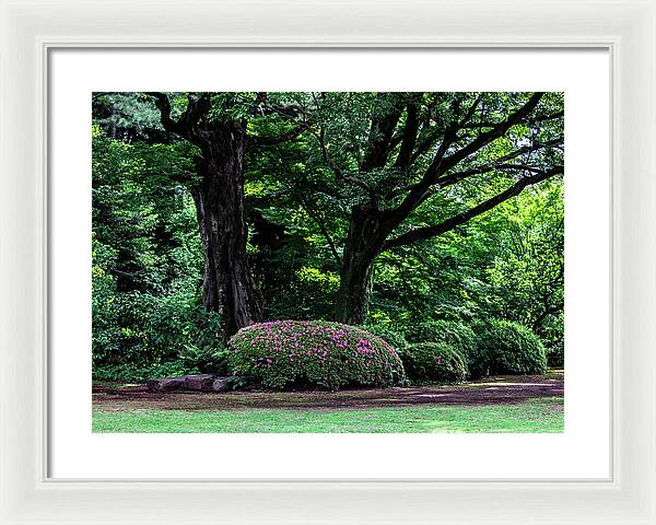 Gardens of Tokyo - Framed Print