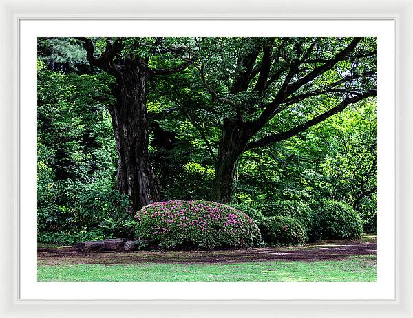 Gardens of Tokyo - Framed Print