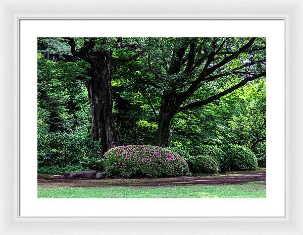 Gardens of Tokyo - Framed Print