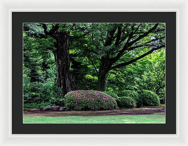 Gardens of Tokyo - Framed Print