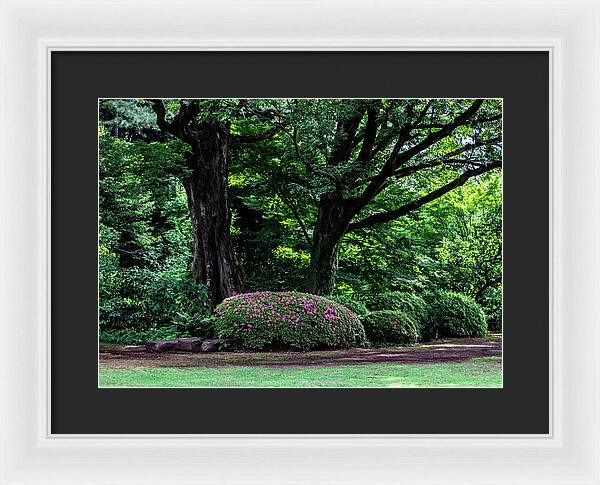 Gardens of Tokyo - Framed Print