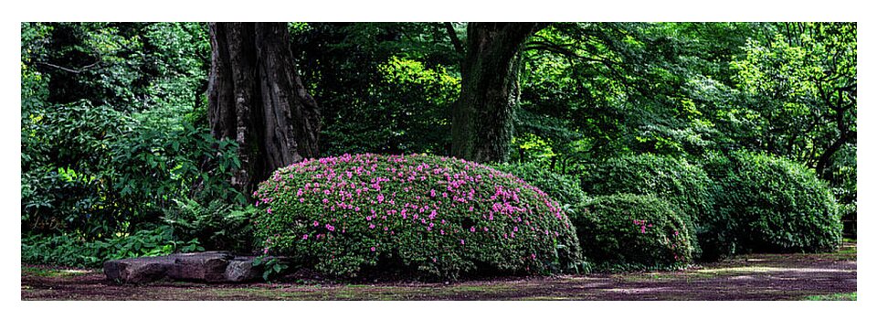 Gardens of Tokyo - Yoga Mat