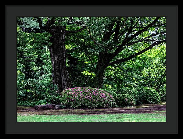 Gardens of Tokyo - Framed Print