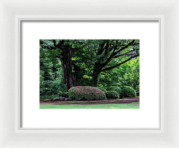 Gardens of Tokyo - Framed Print