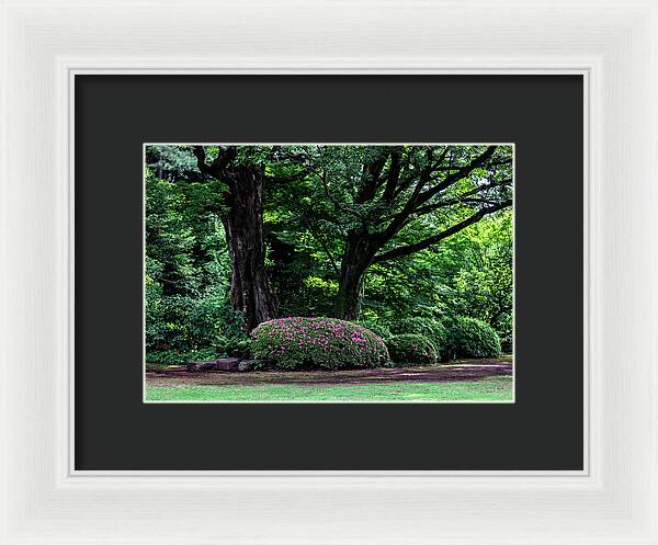 Gardens of Tokyo - Framed Print