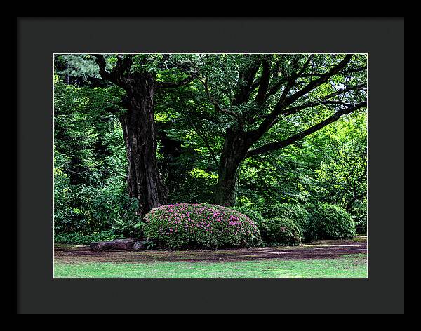 Gardens of Tokyo - Framed Print