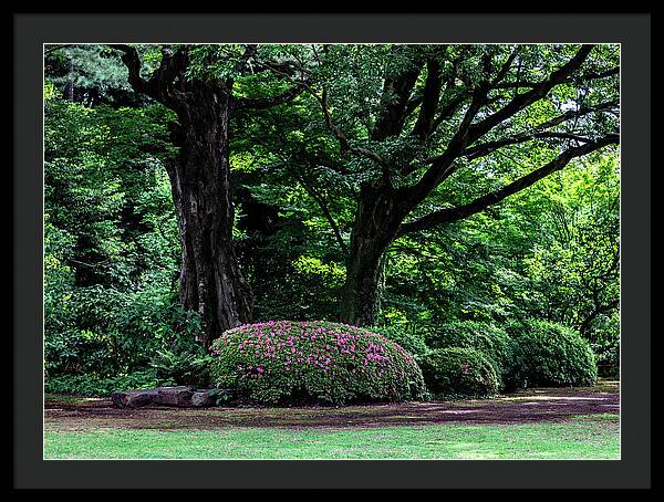 Gardens of Tokyo - Framed Print
