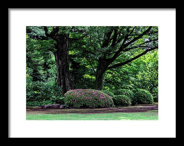 Gardens of Tokyo - Framed Print
