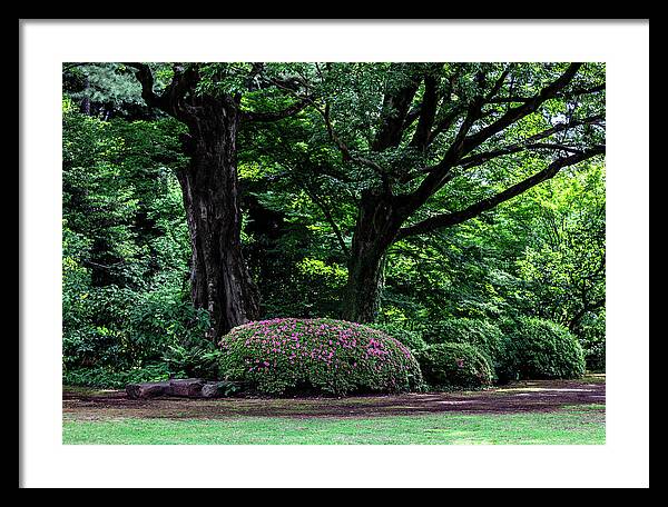 Gardens of Tokyo - Framed Print