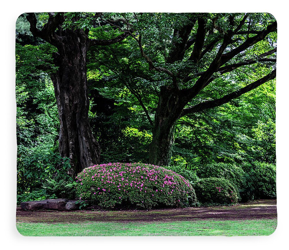 Gardens of Tokyo - Blanket