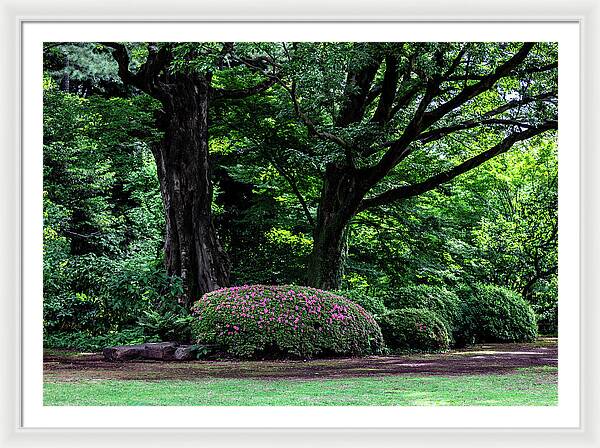 Gardens of Tokyo - Framed Print