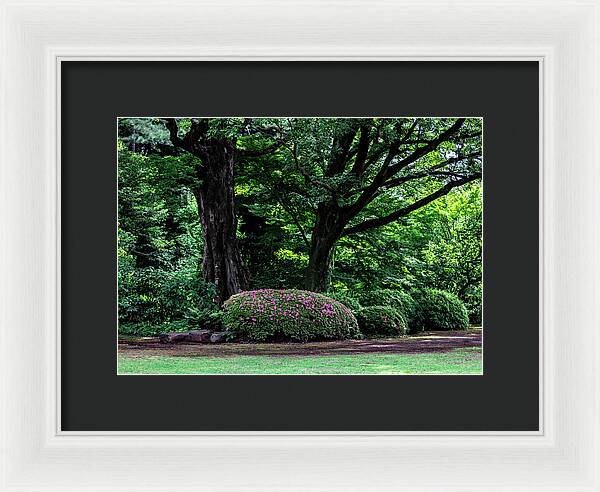 Gardens of Tokyo - Framed Print