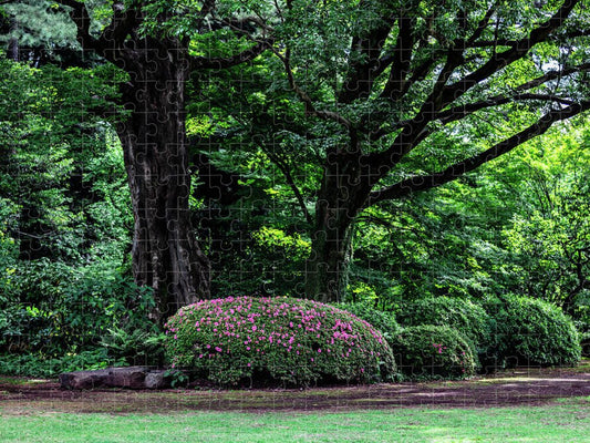 Gardens of Tokyo - Puzzle
