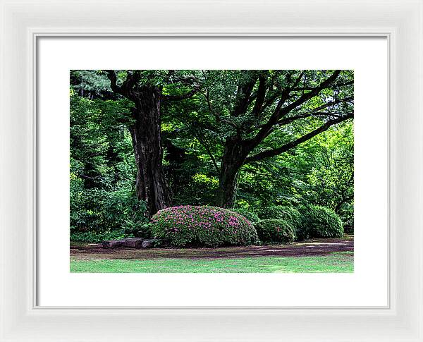 Gardens of Tokyo - Framed Print