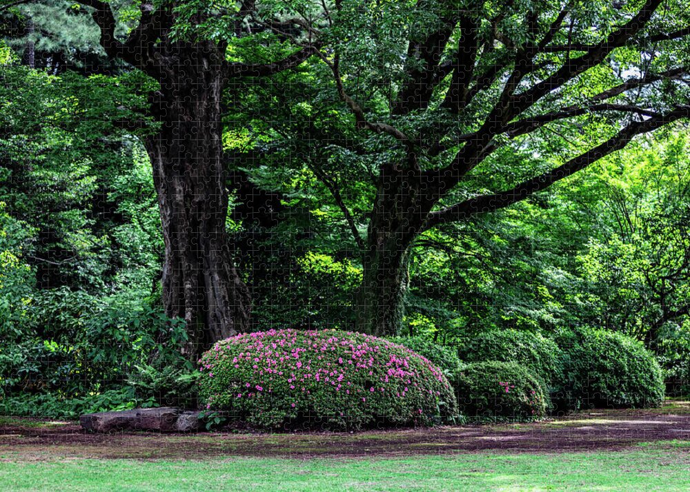 Gardens of Tokyo - Puzzle