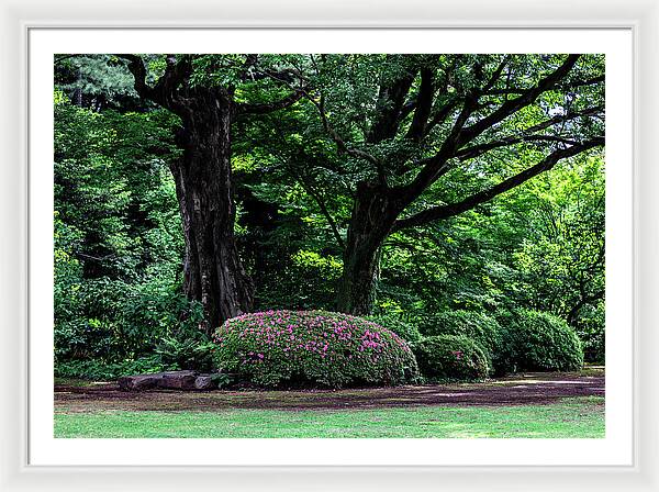 Gardens of Tokyo - Framed Print