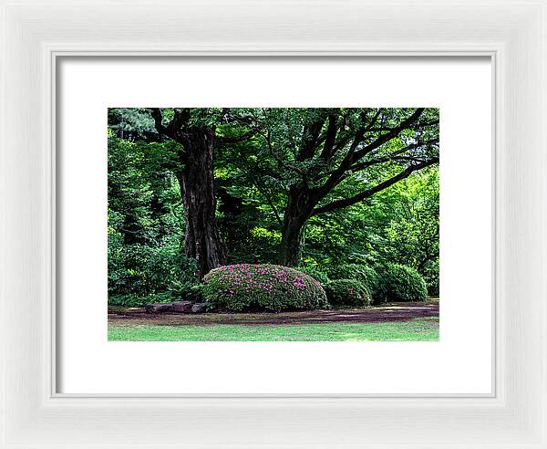 Gardens of Tokyo - Framed Print