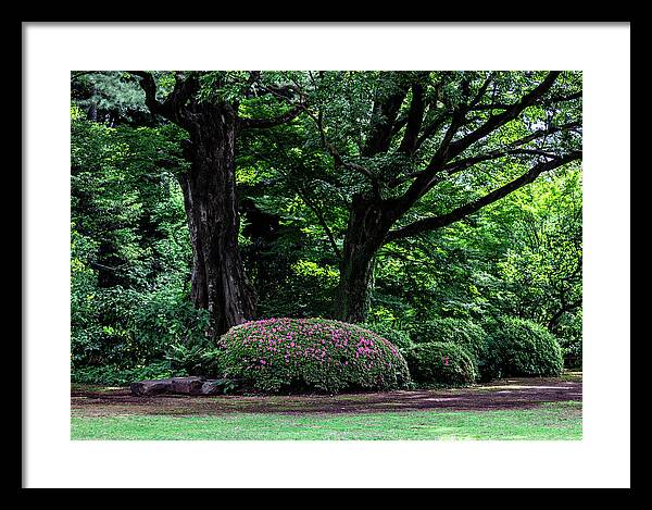 Gardens of Tokyo - Framed Print