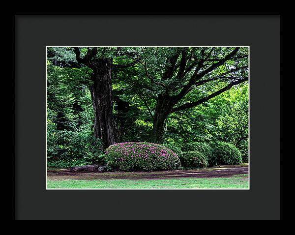 Gardens of Tokyo - Framed Print
