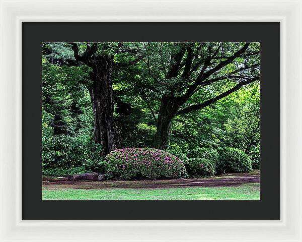 Gardens of Tokyo - Framed Print