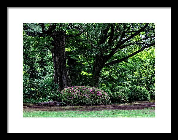 Gardens of Tokyo - Framed Print