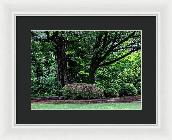 Gardens of Tokyo - Framed Print