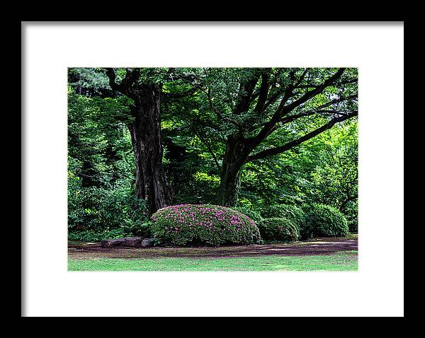 Gardens of Tokyo - Framed Print