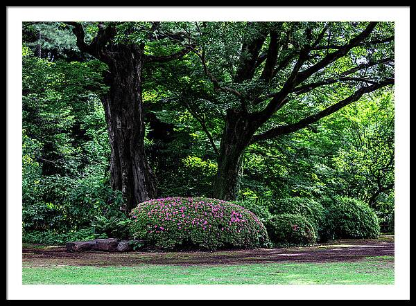 Gardens of Tokyo - Framed Print