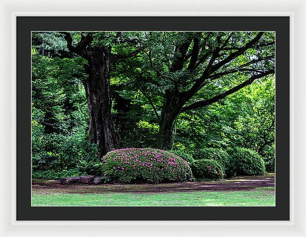 Gardens of Tokyo - Framed Print