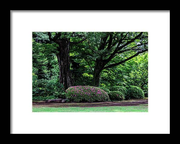 Gardens of Tokyo - Framed Print