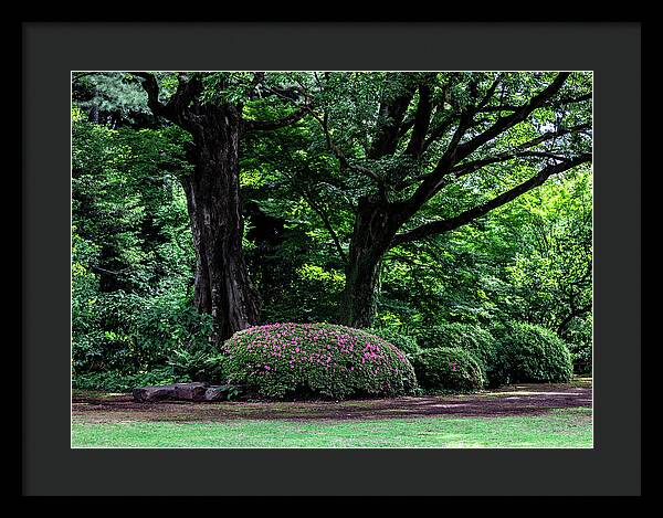 Gardens of Tokyo - Framed Print