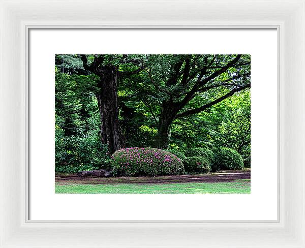 Gardens of Tokyo - Framed Print